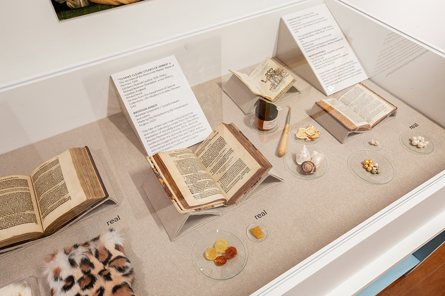 Remaking the Renaissance – Nancy M. Bruce Center for Design and ...