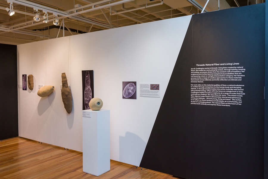 Material Intelligence – Nancy M. Bruce Center for Design and Material ...